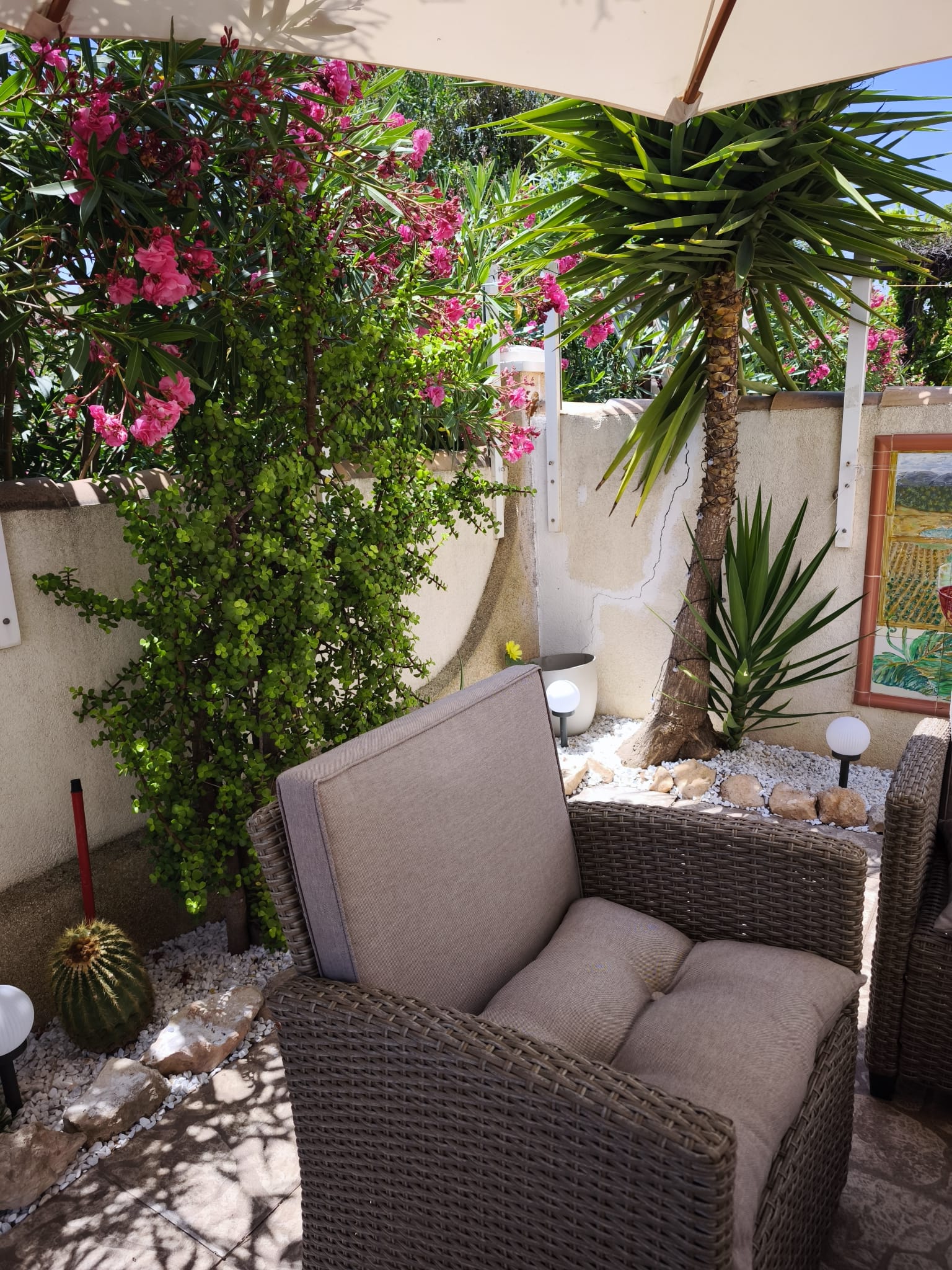 Rattan seating area with parasol, flowering oleander, yucca palm, and garden lights