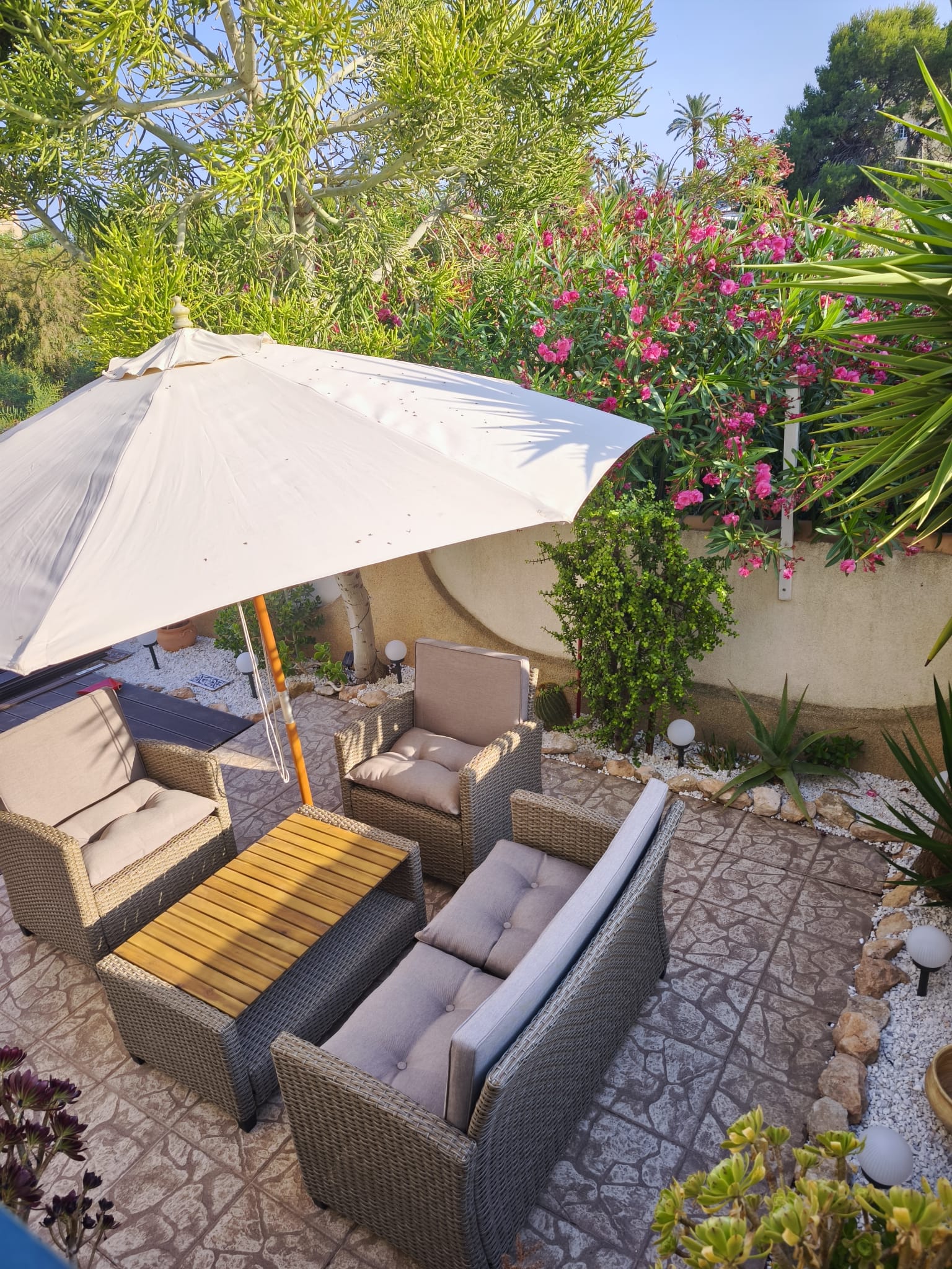 Garden from above with rattan furniture set, parasol, flowering oleander, and tropical plants
